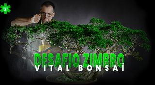 Desafio Juniperus com Vital Bonsaï